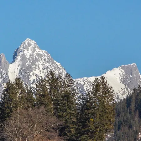 Ambiento Tirol